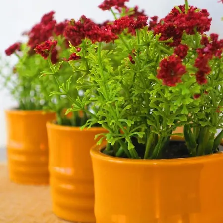 Piave, Zentrum, Mit Garage 메라노