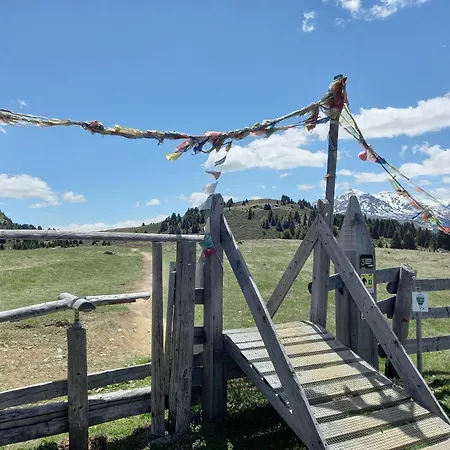 Apartament Piave, Zentrum, Mit Garage