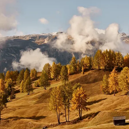 Apartamento Goldener Herbst In - 